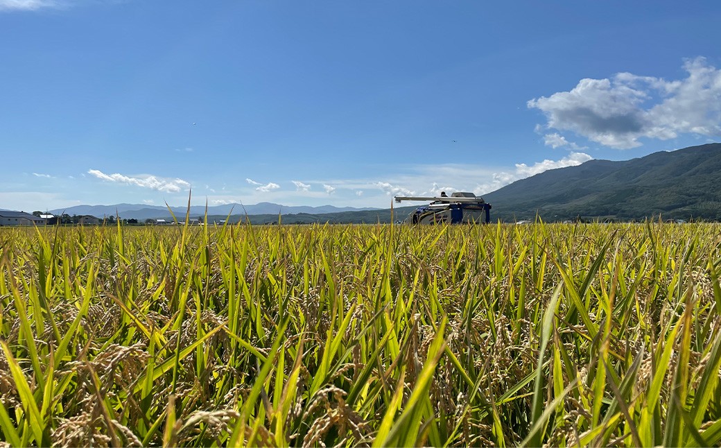 【令和7年産】北海道蘭越産ななつぼし10kg