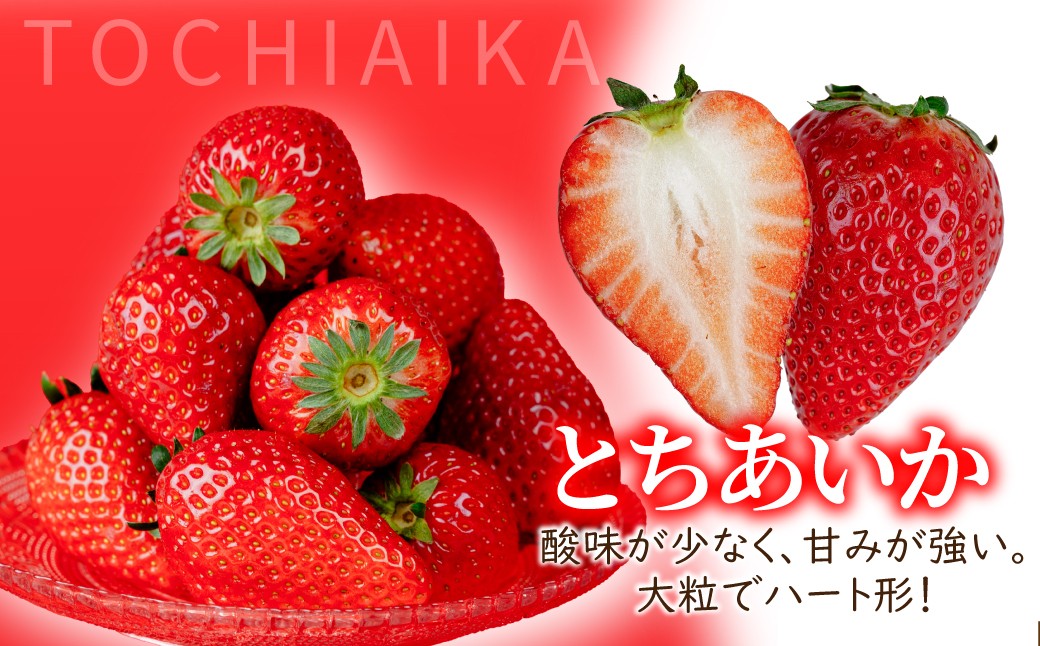 いちご イチゴ 苺 ストロベリー とちあいか 完熟 