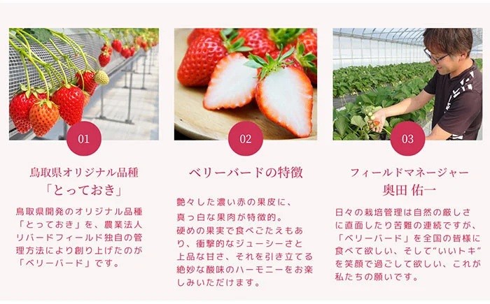 B25-083 最高級ベリーバード 『絆』【期間･数量限定】