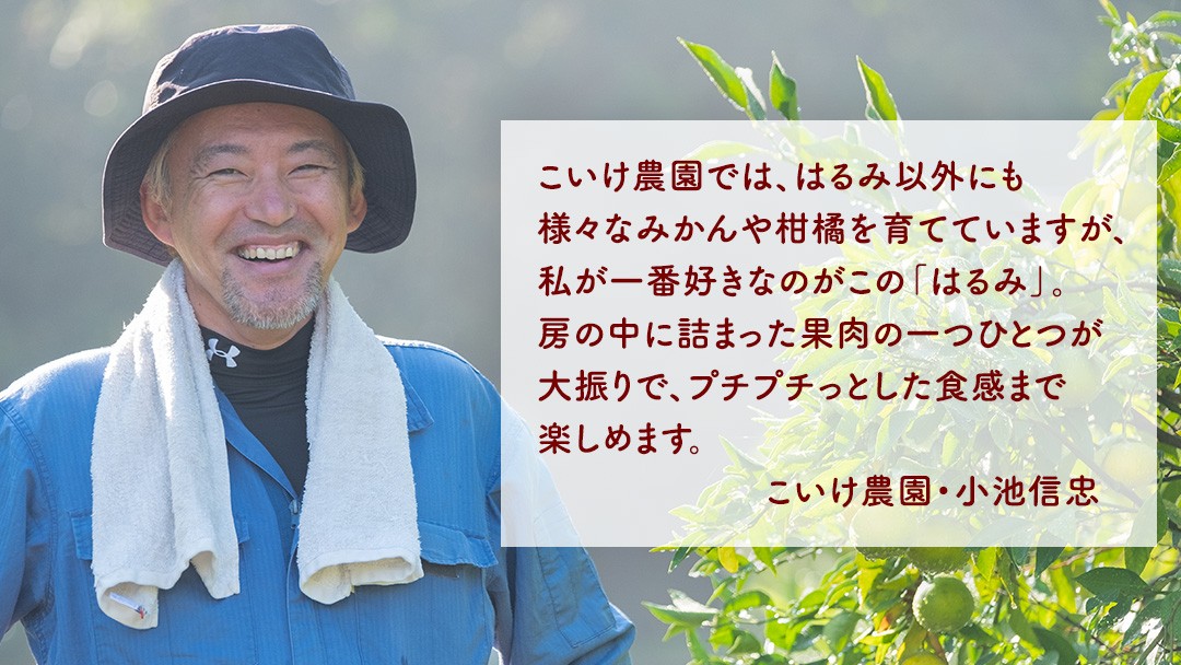 一つずつ丁寧に収穫され、たっぷりの愛情と一緒に箱詰めされます。