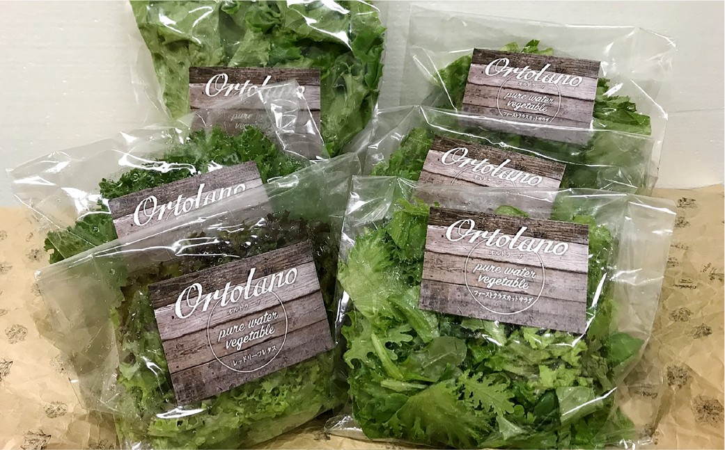 【Ortolano】野菜 定期便
