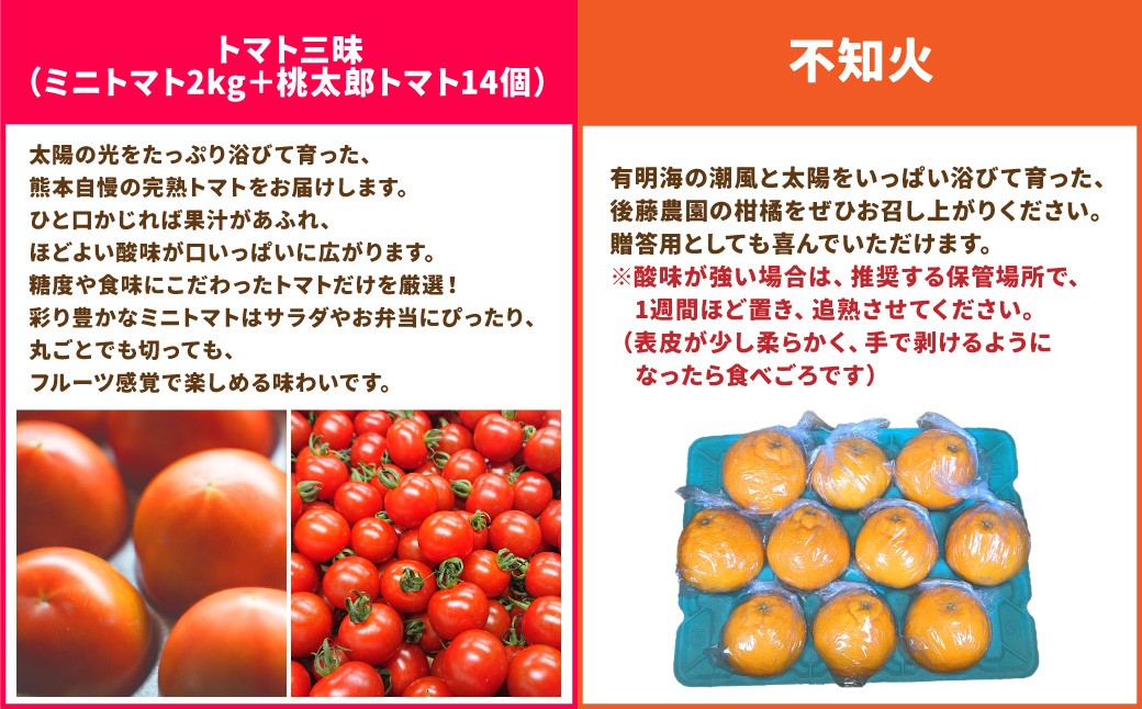 【年6回定期便】くまもとモン（熊本県産品）定期便（バラエティコース）寄附額10万円コース