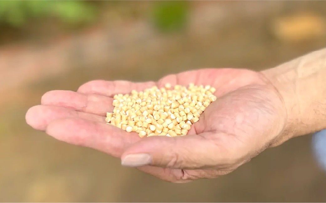  ＜お米から生まれた＞ ほわり食器ランチセット