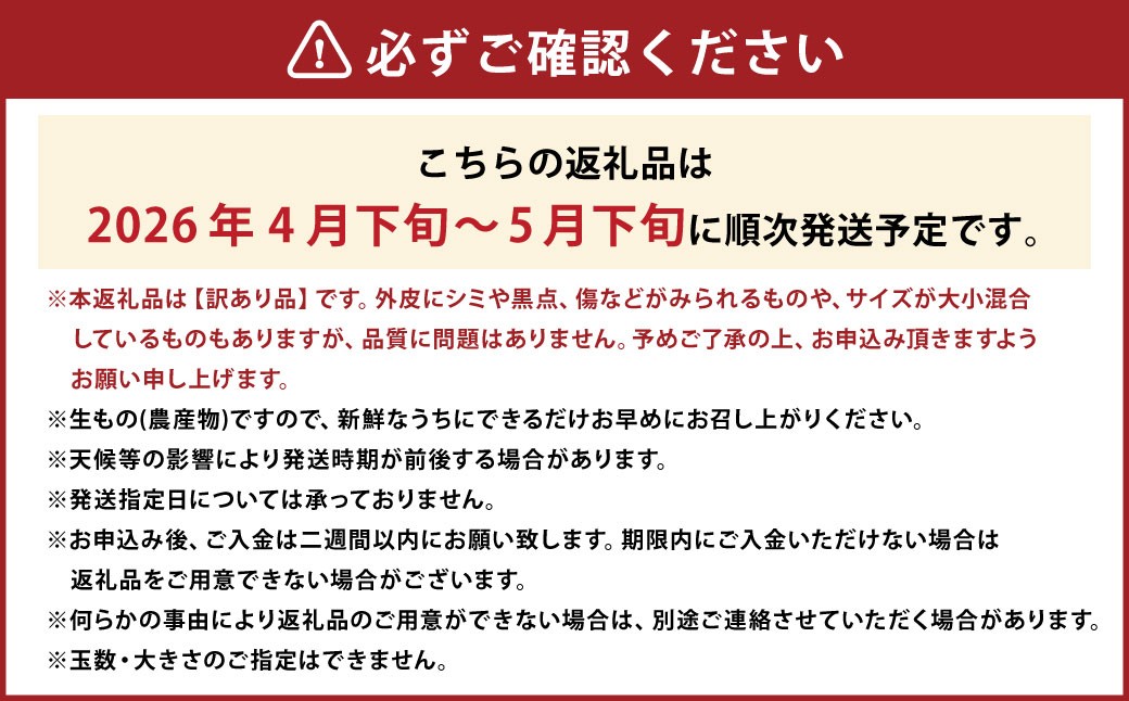 【訳あり】 河内晩柑 10kg 【えひめの町（超）推し！（愛南町）】（569-1）