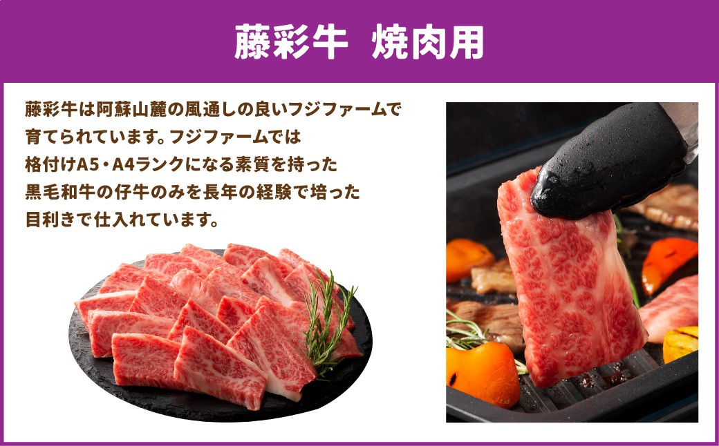 【年3回連続定期便】くまもとモン（熊本県産品）定期便（お肉編）寄附額5万円コース