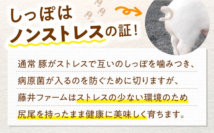 藤井ファームでは、ストレスの少ない環境にこだわっているため、飼育されている豚はしっぽが残ったままの状態で健康に美味しく育ちます。