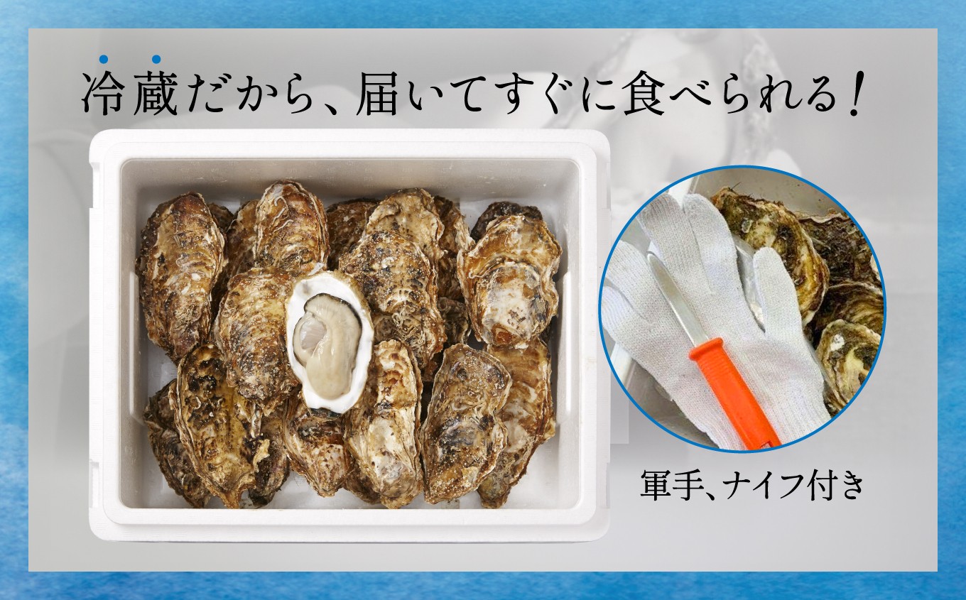軍手とナイフ付きなので安心