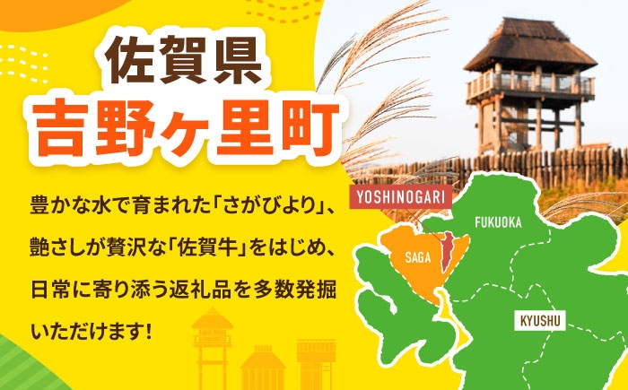  夢しずく 白米 6kg 特A こめ コメ 精米 国産 お米 ごはん 米 お米 白米