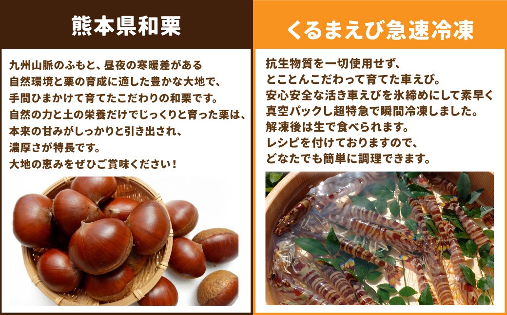 【年6回定期便】くまもとモン（熊本県産品）定期便（バラエティコース）寄附額10万円コース