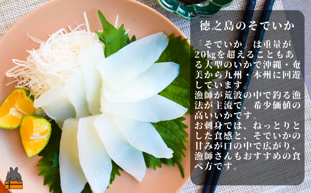 沖縄や奄美から北上する「そでいか」は、甘みと濃厚な旨みが特徴の美味しさです。