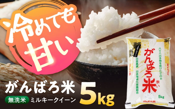 食品 米 白米 精米 無洗米 新米 おこめ お米 コメ kome ご飯 こめ ごはん ライス 期間限定 岐阜県 瑞浪市 