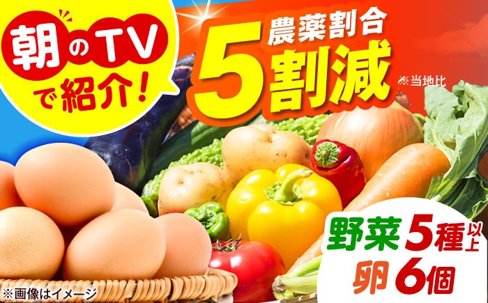 朝のTVで紹介 旬の野菜セット 新鮮野菜 産地直送 卵 たまご 平飼い卵 やさいセット 家庭用