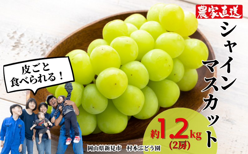 ぶどうの産地新見から、シャインマスカット約1.2kg（2房）をお届けします