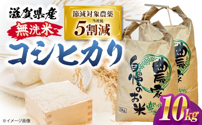 無洗米 コシヒカリ 10kg こしひかり 米 10kg 無洗米 10kg コメ ご飯 滋賀県産 長浜市産 こめ 精米 新米