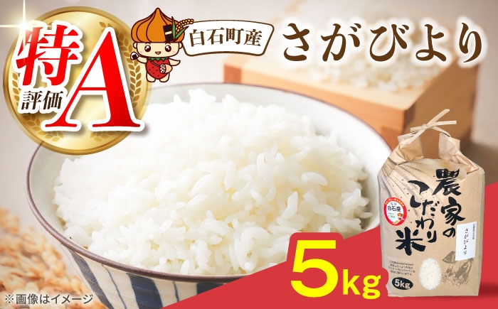 米 5kg  白米 特A 特A評価  佐賀県産 国産米 コメ こめ お米 白米 ブランド米 さがびより 佐賀県 白石町 白石