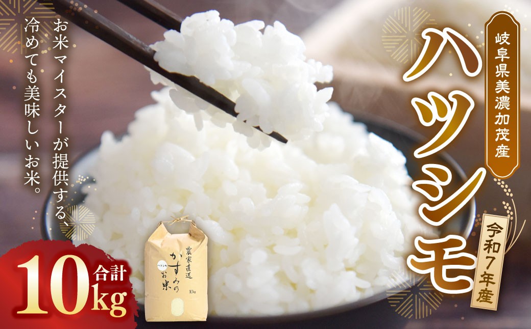 令和7年産 お米マイスターが提供 冷めても美味しい 岐阜県美濃加茂産 ハツシモ （ 10kg ）