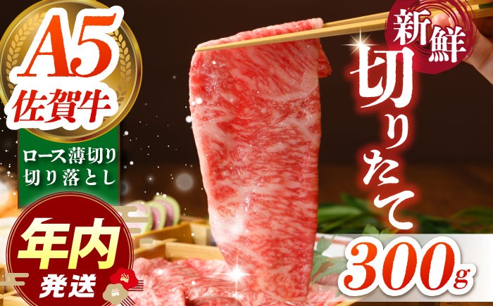 佐賀牛 ロース切り落とし 300g【肉の三栄】 [HAA112]