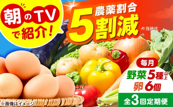 朝のTVで紹介 旬の野菜セット 新鮮野菜 産地直送 卵 たまご 平飼い卵 やさいセット 家庭用