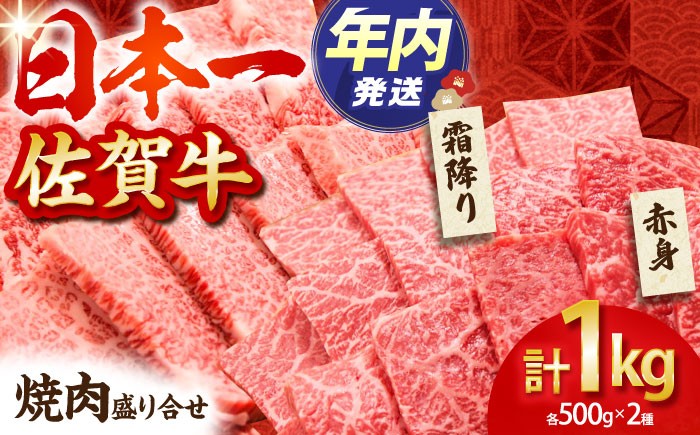 佐賀牛 焼肉 盛り合わせ 1.0kg ( 霜降り・赤身 各500g ) 【田中畜産牛肉店】 [HBH062] / 牛肉 肉 精肉