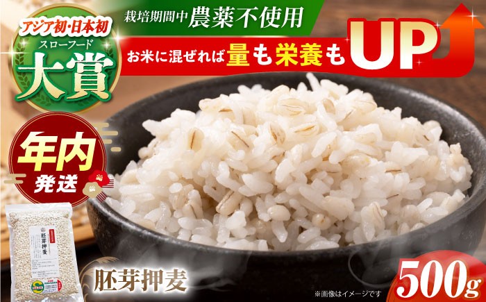 麦 雑穀 雑穀米 麦ごはん 1等麦 特別栽培農産物 佐賀 食物繊維 胚芽押麦 500g 真空パック 真空