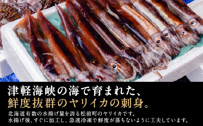 ヤリイカ刺身 小分け イカ ヤリイカ 刺身 肉厚 柔らかい 海鮮 新鮮 魚介 獲れたて お取り寄せ 北海道 松前町 ふるさと納税