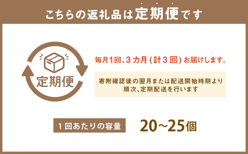 【3回定期便】 牡蠣 生食用 坂越かき 殻付き 20～25個