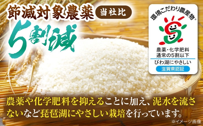 米 お米 無洗米 コシヒカリ こしひかり 5kg 米 5kg 無洗米 5kg コメ ご飯  滋賀県産 長浜市産 こめ 新米