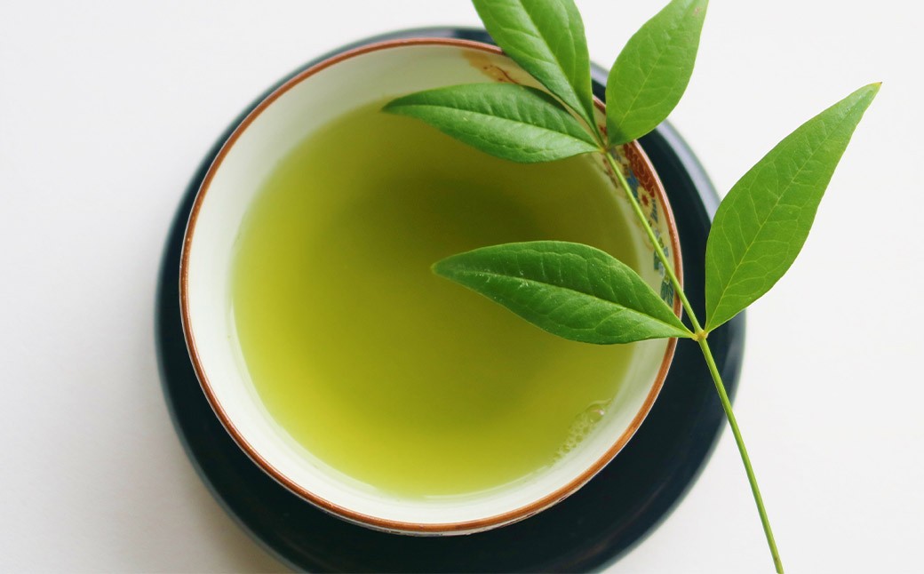 八女茶 煎茶セット 100g×2袋