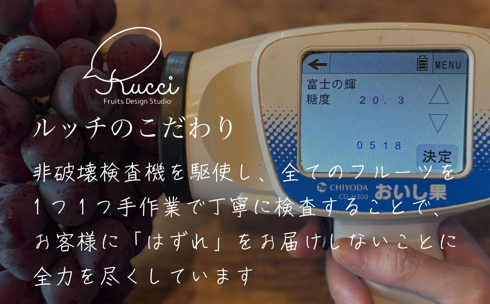 ルッチは美味しいフルーツを確実にお客様に届けることに全力を尽くしています！