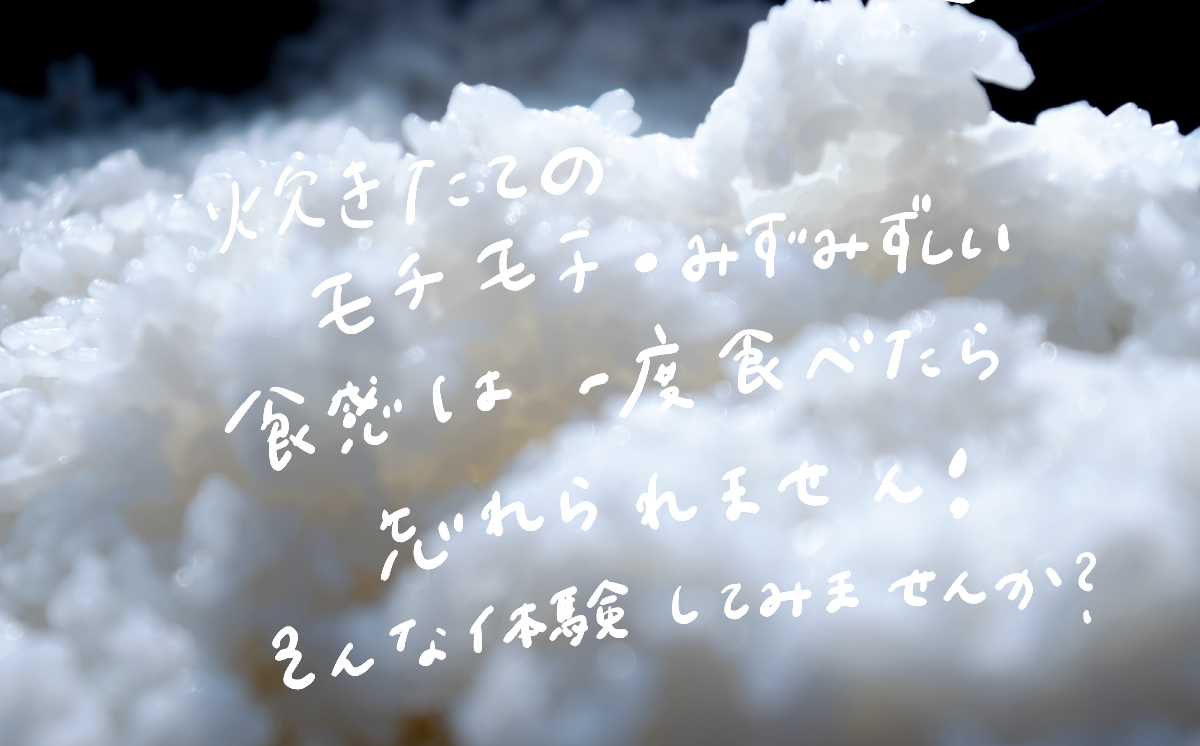 冷めても美味しいミルキークイーン