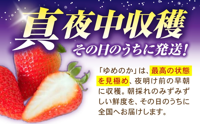 訳あり 訳あり商品 訳あり果物 果物訳あり 果物 フルーツ いちご イチゴ 苺 ストロベリー ベリー オススメ 甘い