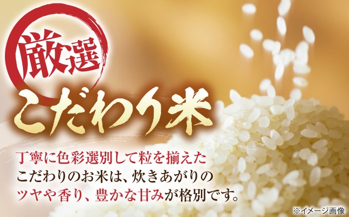  米 お米 無洗米 コシヒカリ こしひかり 5kg 米 5kg 無洗米 5kg コメ ご飯  滋賀県産 長浜市産 こめ 新米
