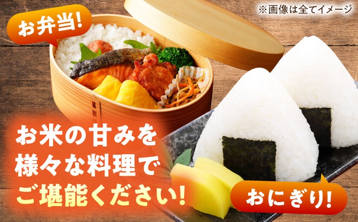 食品 米 白米 精米 無洗米 新米 おこめ お米 コメ kome ご飯 こめ ごはん ライス 期間限定 岐阜県 瑞浪市 