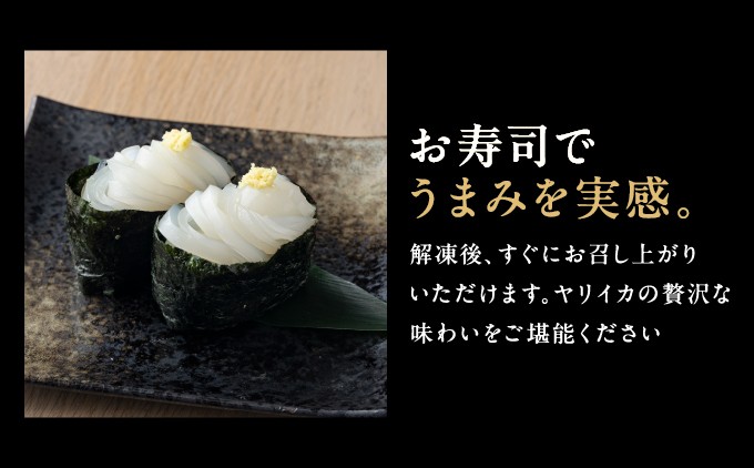 ヤリイカ刺身 小分け イカ ヤリイカ 刺身 肉厚 柔らかい 海鮮 新鮮 魚介 獲れたて お取り寄せ 北海道 松前町 ふるさと納税