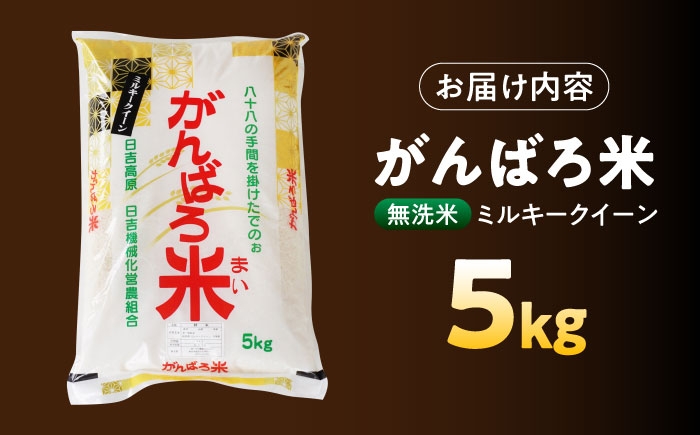 食品 米 白米 精米 無洗米 新米 おこめ お米 コメ kome ご飯 こめ ごはん ライス 期間限定 岐阜県 瑞浪市 