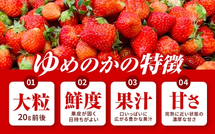 訳あり 訳あり商品 訳あり果物 果物訳あり 果物 フルーツ いちご イチゴ 苺 ストロベリー ベリー オススメ 甘い
