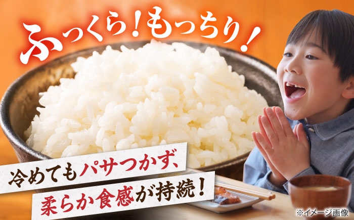 無洗米 コシヒカリ 10kg こしひかり 米 10kg 無洗米 10kg コメ ご飯 滋賀県産 長浜市産 こめ 精米 新米