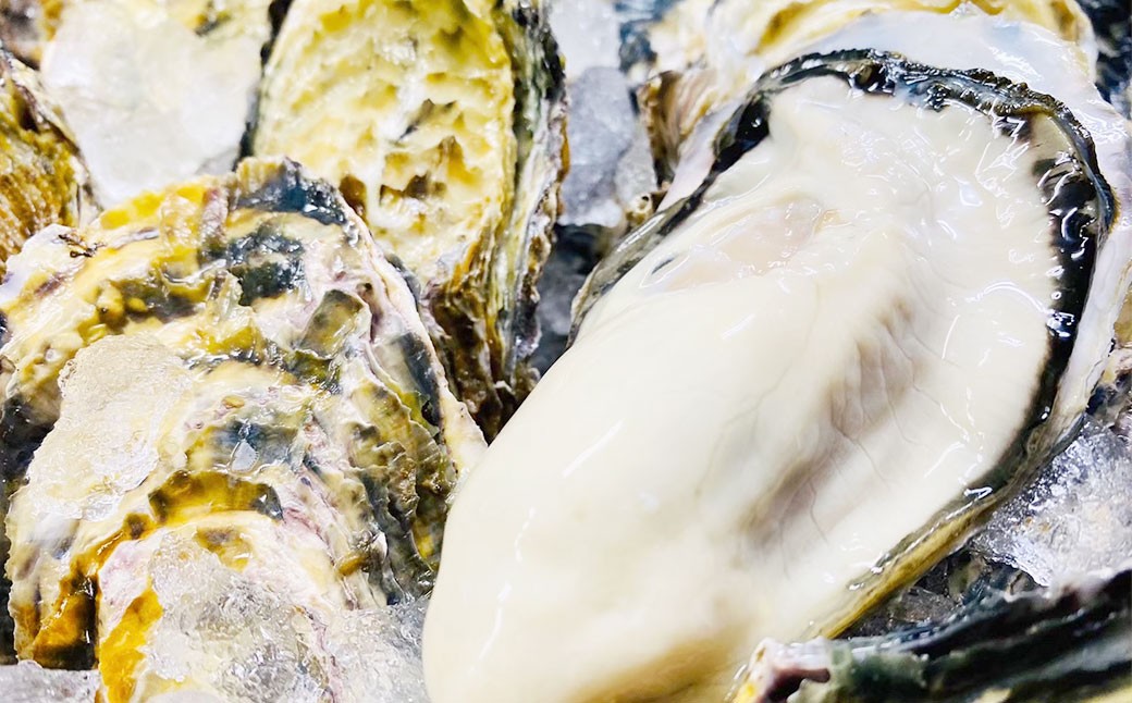 【2回定期便】牡蠣 生食用 坂越かき 殻付き 20～25個 