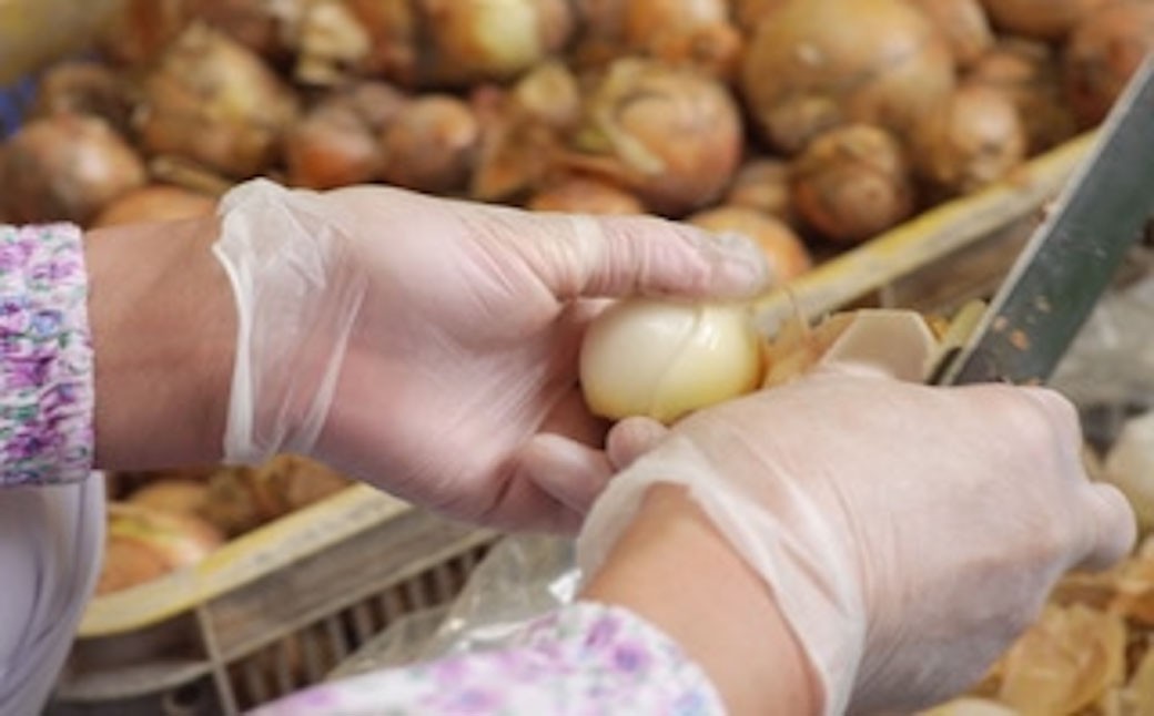 有機植物発酵エキスの酵素ドリンク【Natural FLORA】500ml×1本