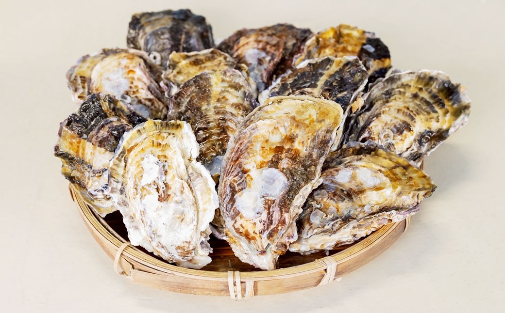 【3回定期便】 牡蠣 生食用 坂越かき 殻付き 20～25個