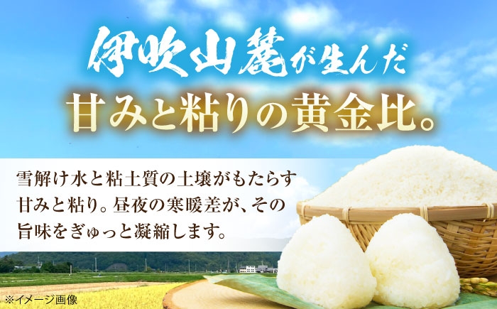  米 お米 無洗米 コシヒカリ こしひかり 5kg 米 5kg 無洗米 5kg コメ ご飯  滋賀県産 長浜市産 こめ 新米