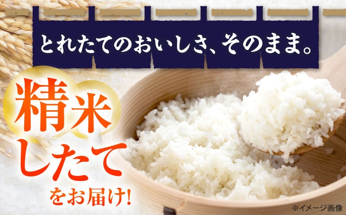  米 お米 無洗米 コシヒカリ こしひかり 5kg 米 5kg 無洗米 5kg コメ ご飯  滋賀県産 長浜市産 こめ 新米