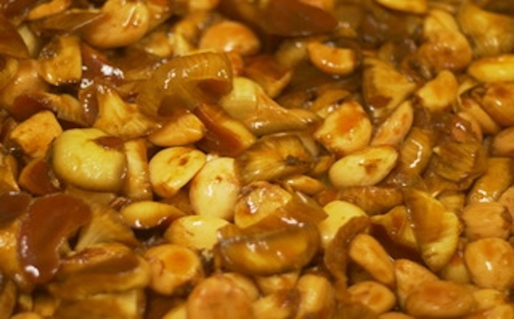 有機植物発酵エキスの酵素ドリンク【Natural FLORA】500ml×2本