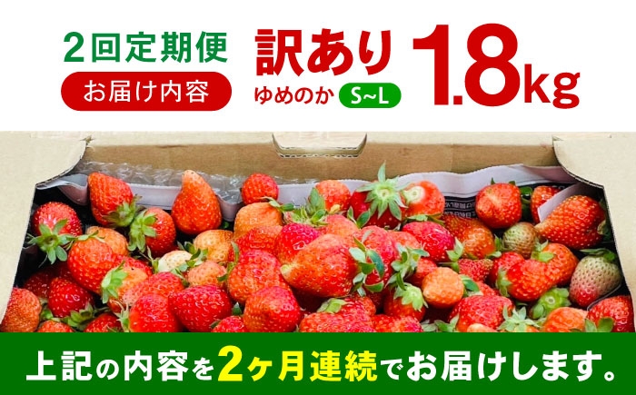 訳あり 訳あり商品 訳あり果物 果物訳あり 果物 フルーツ いちご イチゴ 苺 ストロベリー ベリー オススメ 甘い