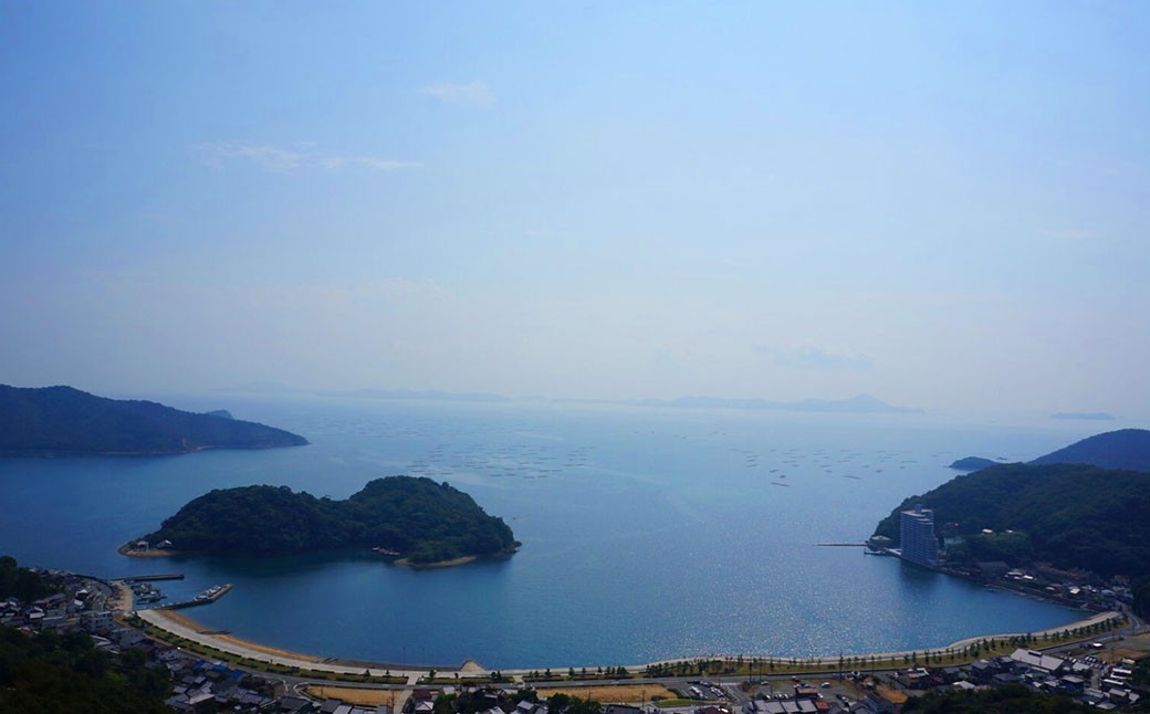 牡蠣 生食用 坂越かき 殻付き 20～25個  牡蠣 かき