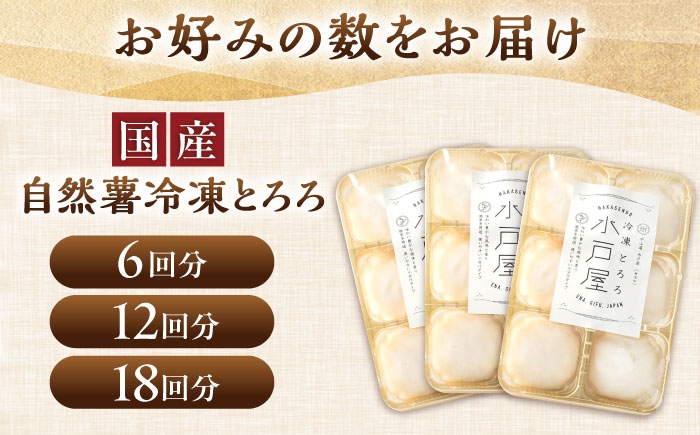 自然薯 冷凍 とろろ 山芋 やまいも お取り寄せ 健康 小分け パック 冷凍 贈答 ギフト おすすめ 人気 岐阜県 恵那市