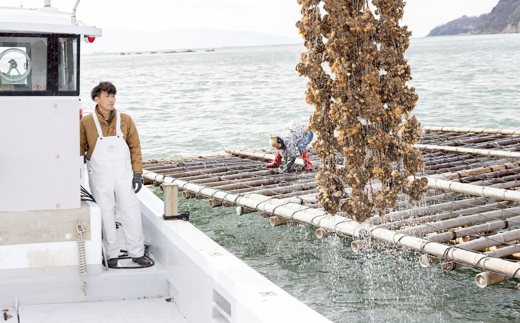 【3回定期便】牡蠣 生食用 坂越かき 殻付き 42～48個