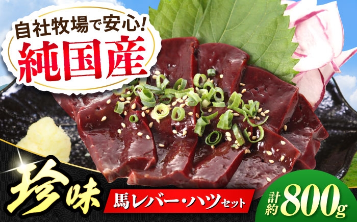 純国産 熊本馬刺し 馬 珍味 セット 計約800g レバー馬刺し ハツ馬刺し