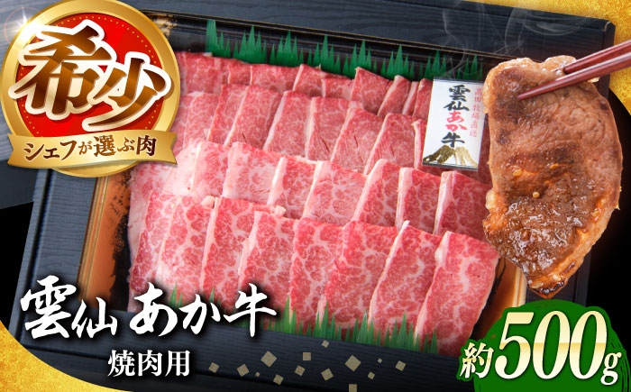国産 長崎和牛 牛 牛肉 冷凍 赤牛 和牛 あかうし 赤牛 あか牛 牛肉
