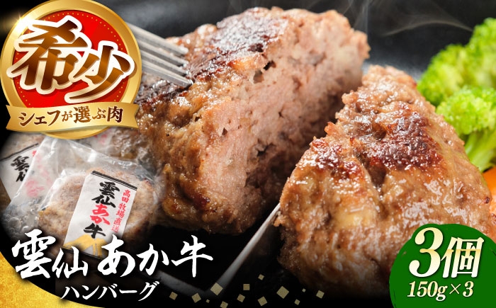 ハンバーグ はんばーぐ 牛 牛肉 冷凍 赤牛 和牛 あかうし 赤牛 あか牛 牛肉